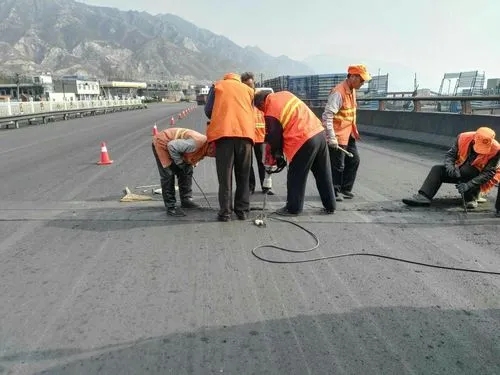 文圣道路桥梁病害治理